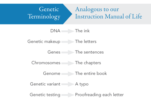 genetic terminology analogies